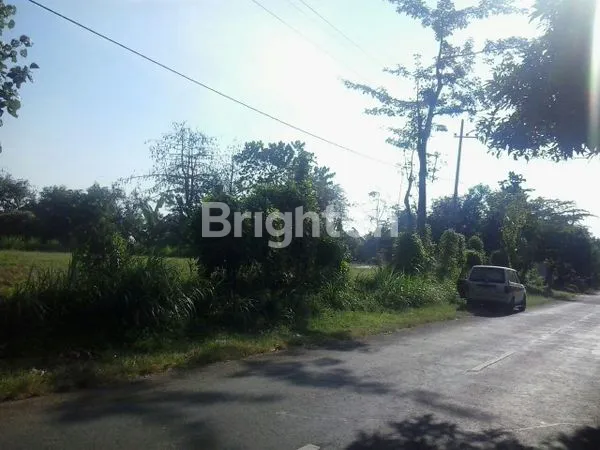 image PROBOLINGGO BRROMO (1)