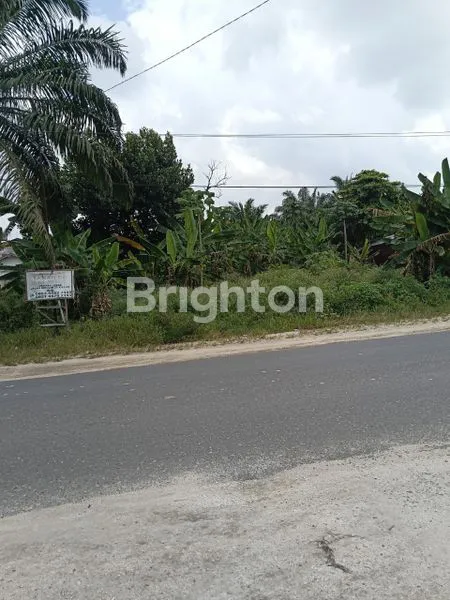 image TANAH KM 16 DEPAN SIMPANG PALEMBANG (1)