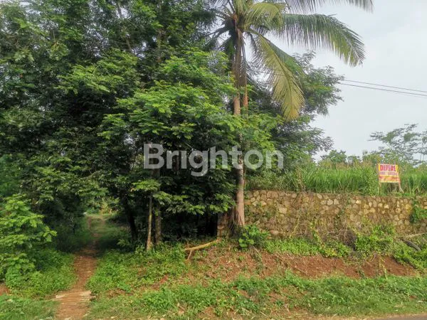 image DIJUAL TANAH AREA WONOGIRO (4)