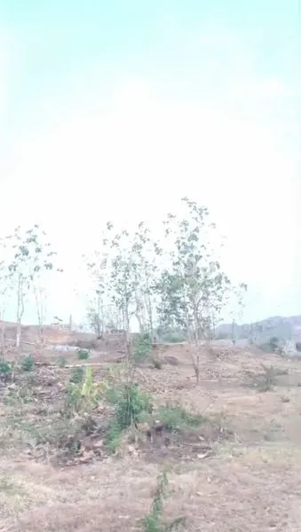 image TANAH DEKET AIRPORT DHOHO (5)