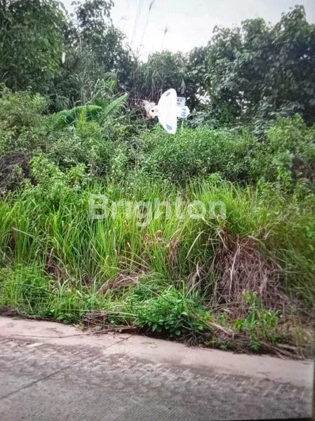 TANAH 2 HEKTAR STRATEGIS DI MAKROMAN