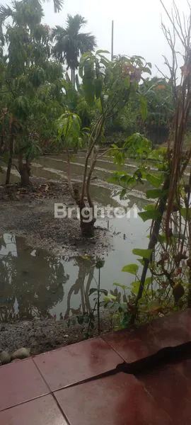 image LAHAN DAN RUMAH USAHA YANG LUAS DAN ASRI (7)