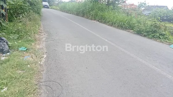 image TANAH KAVLING LOKASI STRATEGIS UNTUK HUNIAN PRIBADI, KOST ATAU TOKO DI JALAN TAMAN PANCING (5)