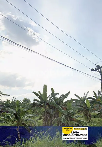 image TANAH LUAS 5500M² DI BATU BESAUNG (2)