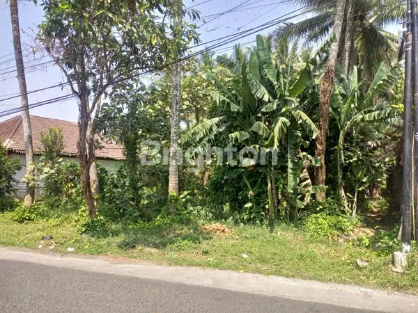 image TANAH PEKARANGAN STRATEGIS PINGGIR JALAN ASPAL DI KARANG DUREN, PAKISAJI, MALANG (3)