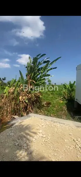 image TANAH DISEWAKAN JANGKA PANJANG BABAKAN CANGGU (6)