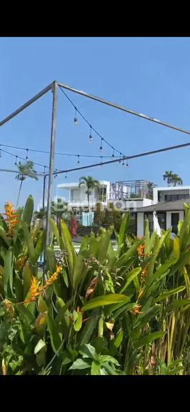 image LAHAN KECIL DISEWAKAN CANGGU (1)