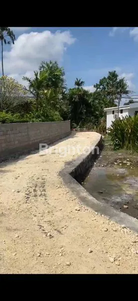image LAHAN KECIL DISEWAKAN CANGGU (3)