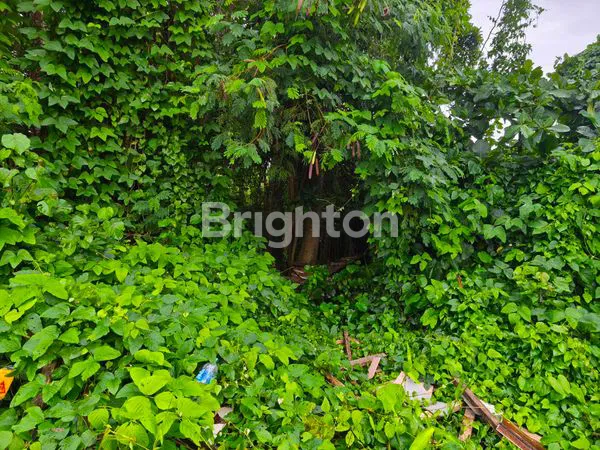 image TANAH PREMIUM 30,21 ARE DI SEMINYAK  (2)