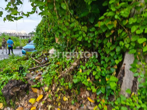 image TANAH PREMIUM 30,21 ARE DI SEMINYAK  (3)