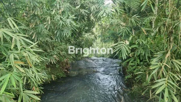 image TANAH EKSKLUSIF VIEW AIR TERJUN TABANAN (6)