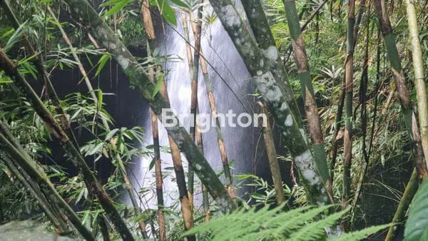 image TANAH EKSKLUSIF VIEW AIR TERJUN TABANAN (4)