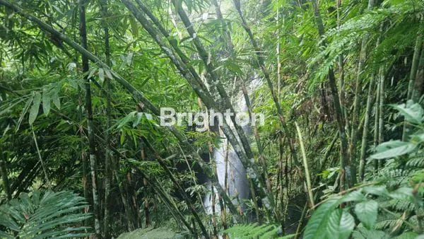 image TANAH EKSKLUSIF VIEW AIR TERJUN TABANAN (1)