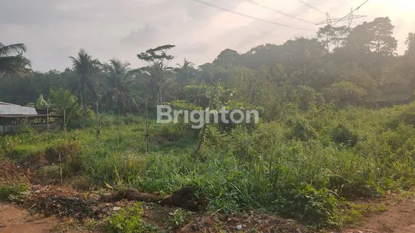 image INVESTASI TANAH STRATEGIS NANGGEWER (1)