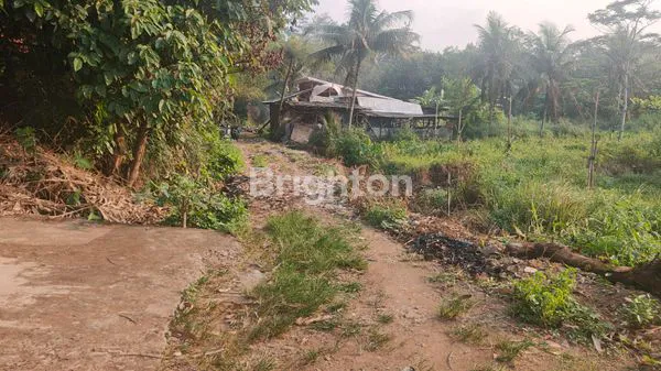 image INVESTASI TANAH STRATEGIS NANGGEWER (2)