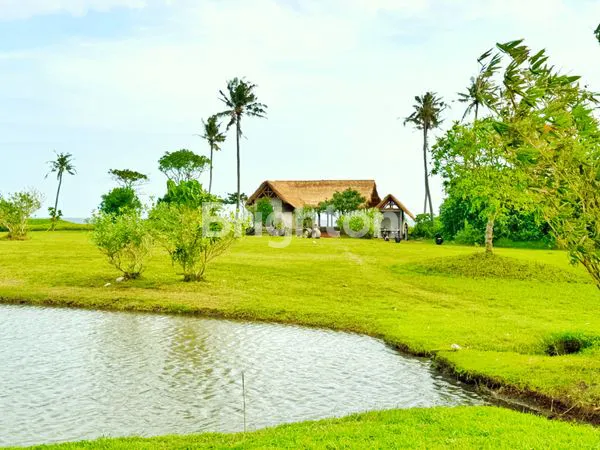 image TANAH KAVLING PINGGIR PANTAI BELONG, TABANAN, BALI | INVESTASI PREMIUM DI KAWASAN PARIWISATA BALI (1)