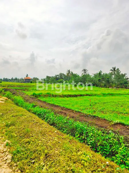 image TANAH KAVLING PINGGIR PANTAI BELONG, TABANAN, BALI | INVESTASI PREMIUM DI KAWASAN PARIWISATA BALI (3)