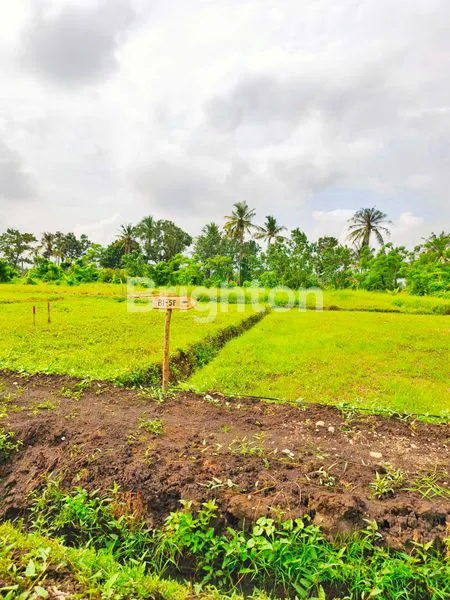 image TANAH KAVLING PINGGIR PANTAI BELONG, TABANAN, BALI | INVESTASI PREMIUM DI KAWASAN PARIWISATA BALI (4)