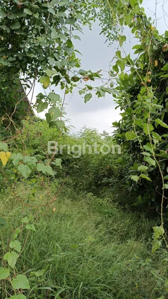 image FOR RENT  TANAH STRATEGIS 24 ARE  DI PEMOGAN, DENPASAR SELATAN (1)