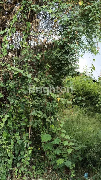 image FOR RENT  TANAH STRATEGIS 24 ARE  DI PEMOGAN, DENPASAR SELATAN (2)