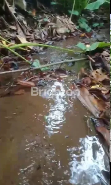 image TANAH KEBUN DIPINGGIR JALAN TRUCK ADA MATA AIRNYA DAN DURIAN 15 POHON (5)