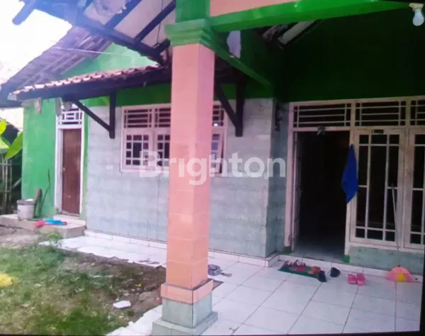 image GEDUNG SARANG WALET (5)