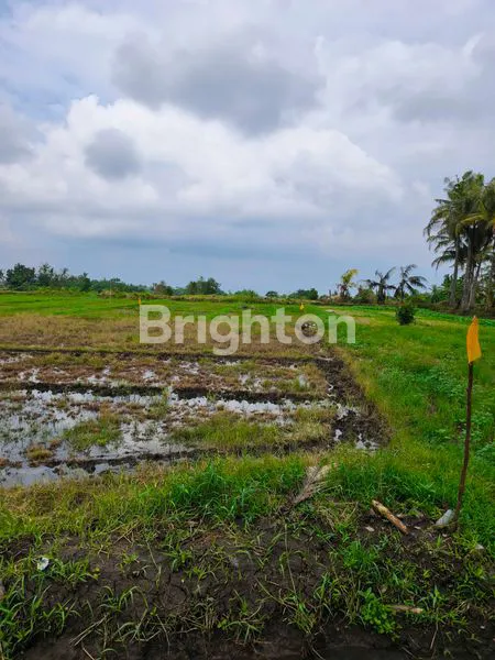 image MILIKI KAVLING IMPIAN DI SURGA TERSEMBUNYI PANTAI BELONG (8)