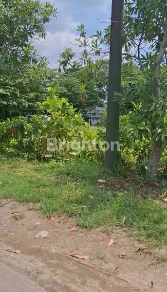 image JUAL TANAH AREA DINAR RAYA ELOK KECAMATAN TEMBALANG (2)