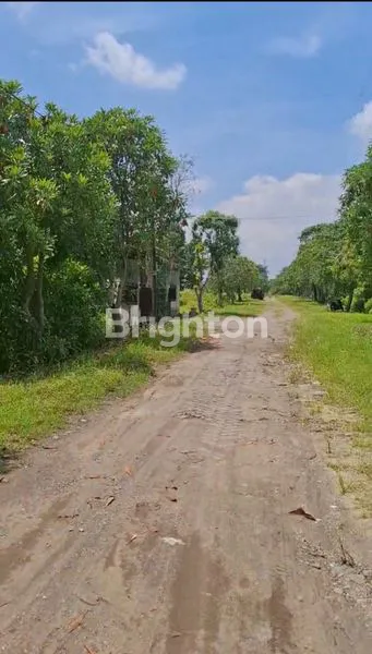 image JUAL TANAH AREA DINAR RAYA ELOK KECAMATAN TEMBALANG (4)