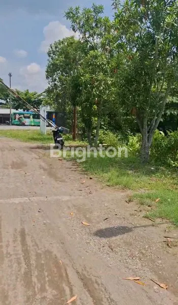 image JUAL TANAH AREA DINAR RAYA ELOK KECAMATAN TEMBALANG (1)