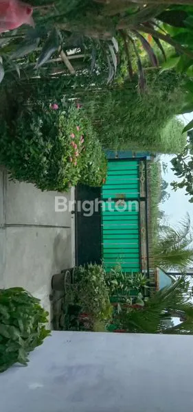 image RUMAH PETAK MURAH  (2)