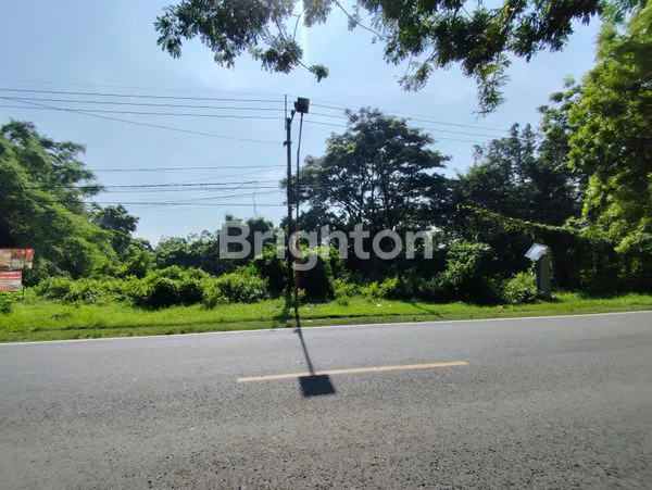 image TANAH MURAH 8500M² DEKAT MADIUN (5)