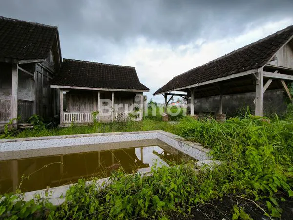 image MUNGGU KUTA UTARA - TANAH LUAS GLOBAL 12 ARE  (2)