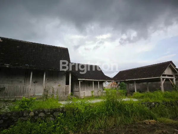 image MUNGGU KUTA UTARA - TANAH LUAS GLOBAL 12 ARE  (6)