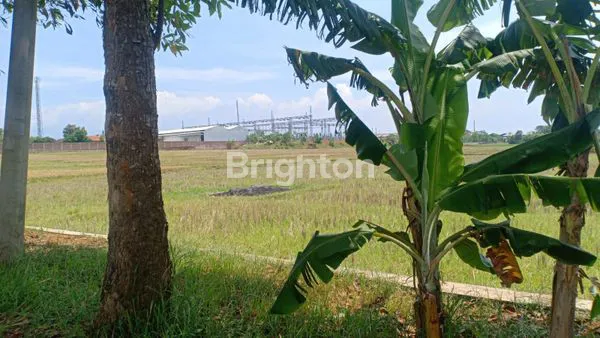 image TANAH INDUSTRI SUBANG (2)