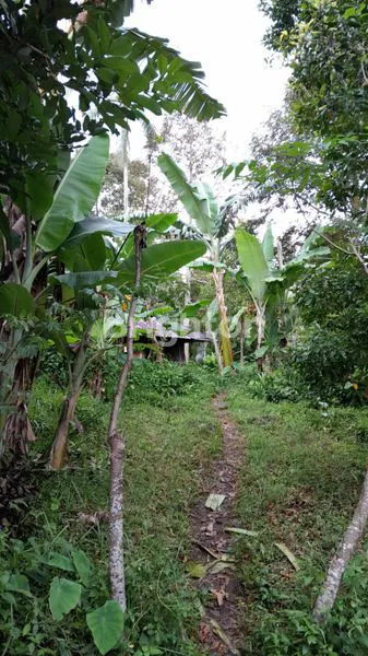 image DIJUAL TANAH PINGGIR JALAN DI BULELENG BALI (1)