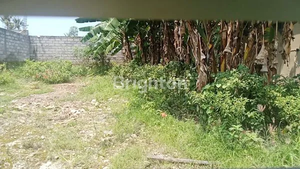 image DISEWAKAN CEPAT! TANAH SHM STRATEGIS DI JL. RAYA BUWIT, KEDIRI - INVESTASI JANGKA PANJANG 25 TAHUN (3)