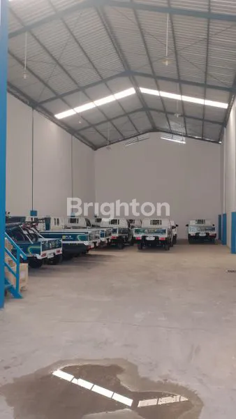 image GUDANG BAGUS DAN CANTIK SIAP HUNI (2)