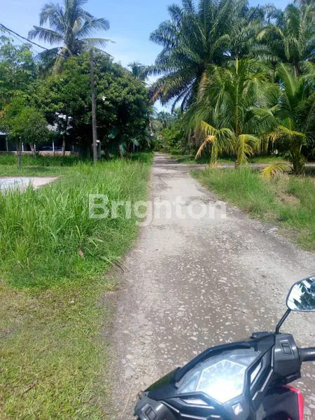 image \UD83C\UDF33 INVESTASI TANAH SHM LUAS 21.600 M2. SANGAT STRATEGIS DI KECAMATAN STABAT – KABUPATEN LANGKAT, SUMATERA UTARA \UD83C\UDF33 (3)