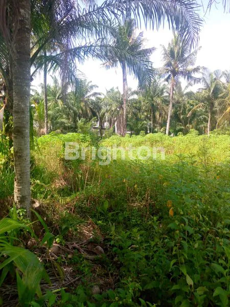 image \UD83C\UDF33 INVESTASI TANAH SHM LUAS 21.600 M2. SANGAT STRATEGIS DI KECAMATAN STABAT – KABUPATEN LANGKAT, SUMATERA UTARA \UD83C\UDF33 (6)