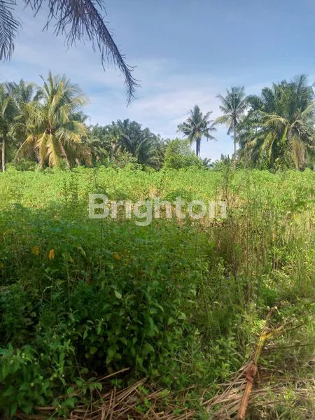 image \UD83C\UDF33 INVESTASI TANAH SHM LUAS 21.600 M2. SANGAT STRATEGIS DI KECAMATAN STABAT – KABUPATEN LANGKAT, SUMATERA UTARA \UD83C\UDF33 (8)
