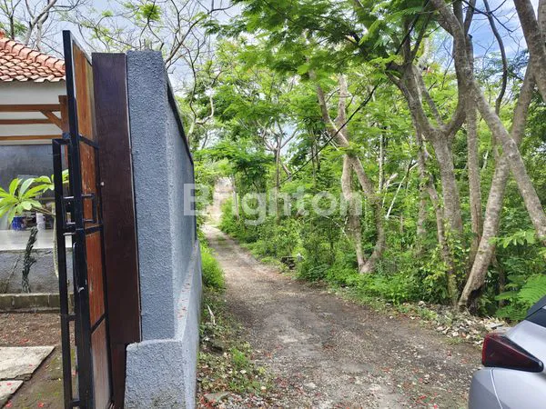 image RUMAH KAYU STUDIO ASRI DI LINGKUNGAN HIJAU UNGASAN\N\N\N. RUMAH KAYU TROPIS BERNUANSA ALAM, DEKAT PANTAI MELASTI\N (8)