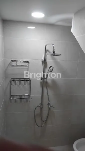 image CLUSTER GOLDEN CLOVER (7)