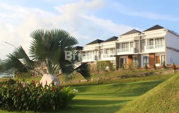 image CLUSTER GOLDEN CLOVER TIBAN (8)