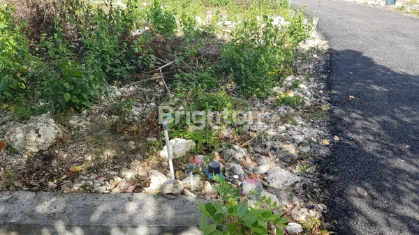image SISA 1 KAVLING INVESTASI SIAP BANGUN SHM KLUMPU NUSA PENIDA BALI MULAI 90JT/ARE (6)