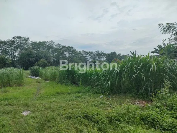 image CIMUNING MUSTIKAJAYA (7)