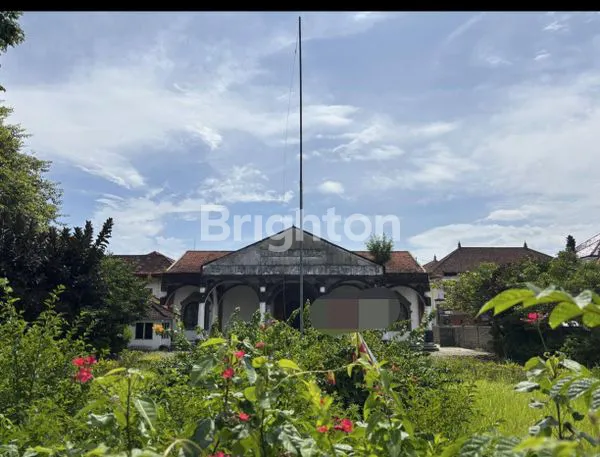 image TANAH LUAS DIJUAL – LOKASI STRATEGIS DI BALI (4)