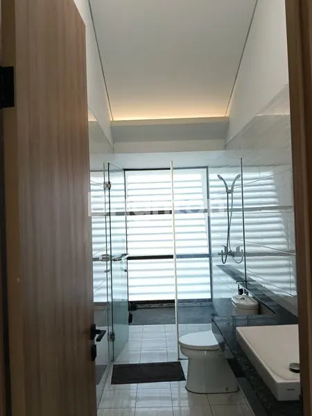 image JUAL BRAND NEW KELAPA CENGKIR BARAT GADING (5)