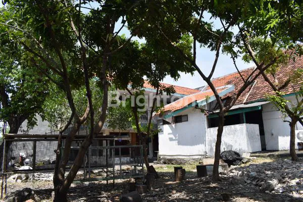 image RUMAH DI LOMPOBATANG PETEMON  (6)