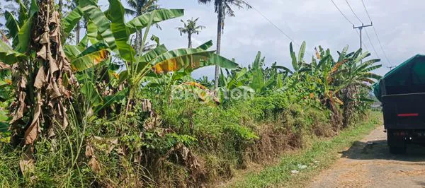 image INVESTASI TANAH JEMBRANA HARGA TERJANGKAU (3)